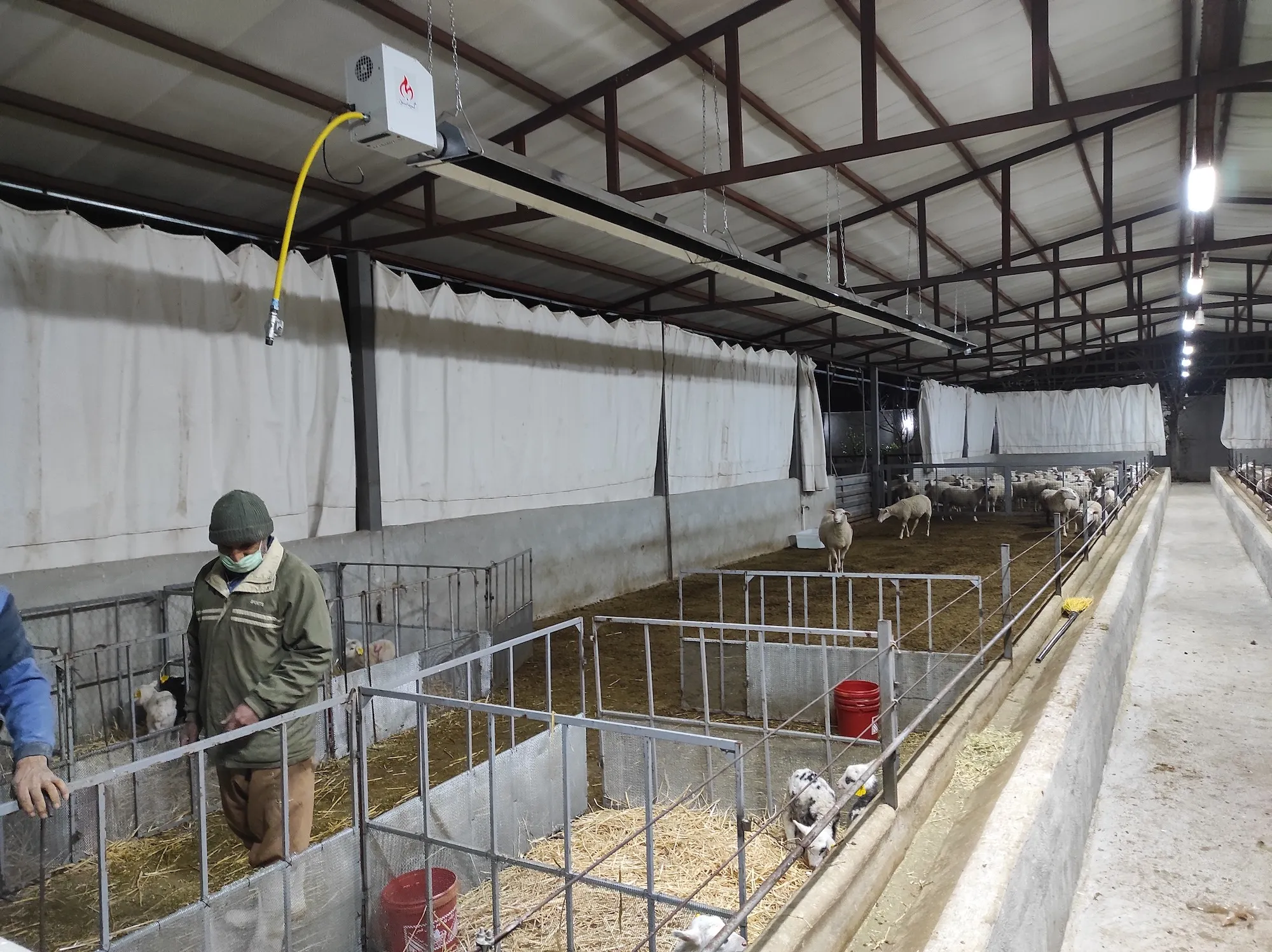 دامداری آقای جنگجو پاکدشت